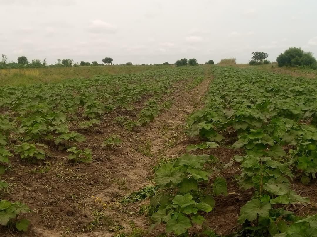 WhatsApp Image 2026-01-07 at 4.29.03 PM