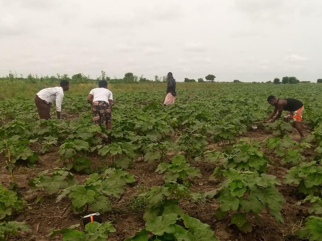 WhatsApp Image 2026-01-07 at 4.29.39 PM (1)