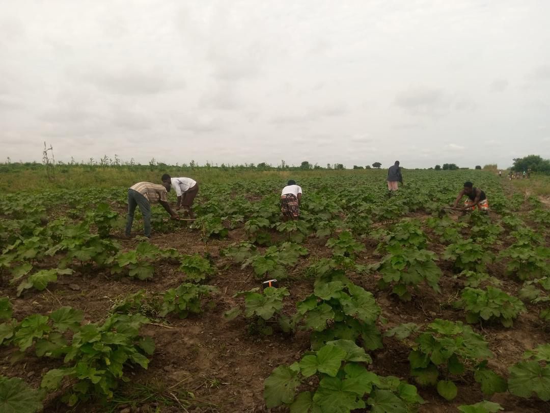 WhatsApp Image 2026-01-07 at 4.29.39 PM